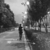 近竹者