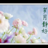 Ady679