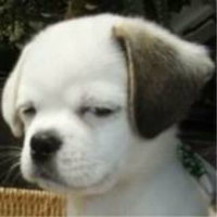 ゆ小吵小闹小幸