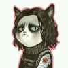 屎坑大队长
