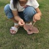 大器上档次
