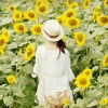 随缘吧