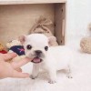 小在사랑