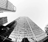 MaxciTig