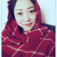 蝴蝶ViVi