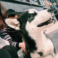 wx_孙磊_V5IlC