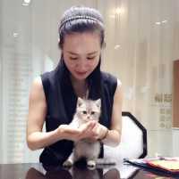 印方丽Rachel