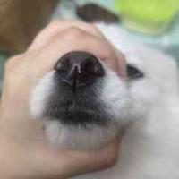 给与我多少
