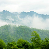 zhangchxi93