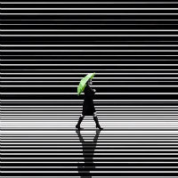 _木堇