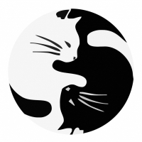 聿古设计