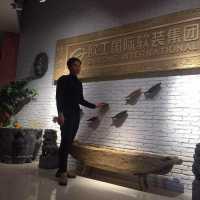 欧箭整装（自由