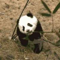 图文魔王