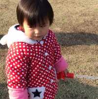 wx_杨小宝_PoeUR