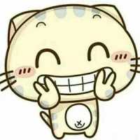DESIgNSt