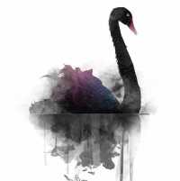 wx_尘明召_ndgXf
