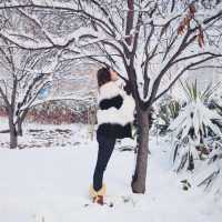 cindy_zhou