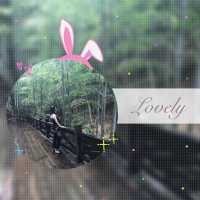 wx_Linda_gy7th