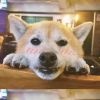 心里。
