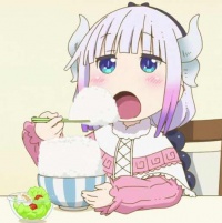 ZZZZiva