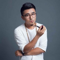 A陈杨维康