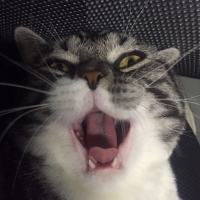 卖设计的