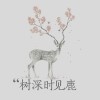 南方8453