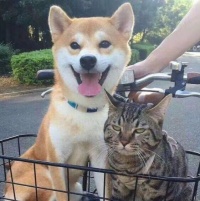 .