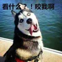 二旬老汉