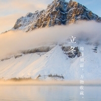 a258317008