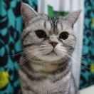 SherryLi