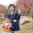 tomdong