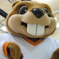 BeaverD.NA.C