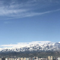 青朴空间