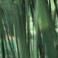 钨丝灯泡
