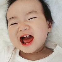 qingjiao123