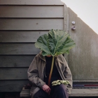 半盒西瓜