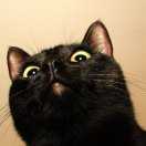 AEMON