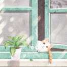 兔先森。