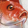 ethfd