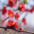 尸尸尸尸