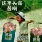 年少泪愿尝