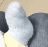 Artcraft