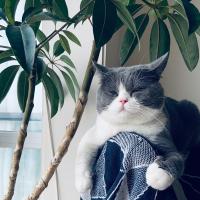 唐尔昕