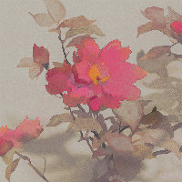 听风吟zm