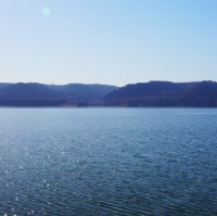 fishsee6