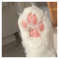 现磨豆浆