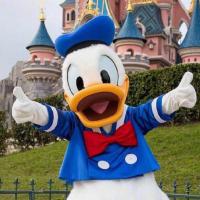 duck不必