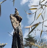 Wáng磊.