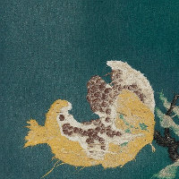 苍穹之光